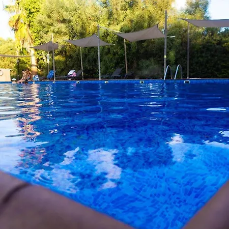 Apartament Nissi Elena -sunshine *