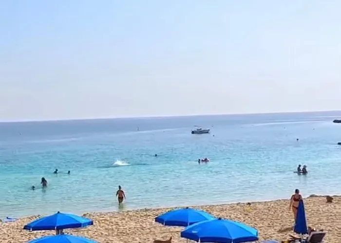 Apartment Nissi Elena -sunshine